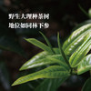 「云南普洱」布朗/易武风味  野生大理种  古树茶 商品缩略图3