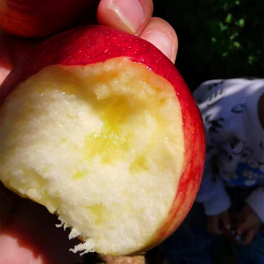 丨生态｜丑苹果 纯甜无酸，脆口 来自云南昭通海拔2100米大山 商品图2