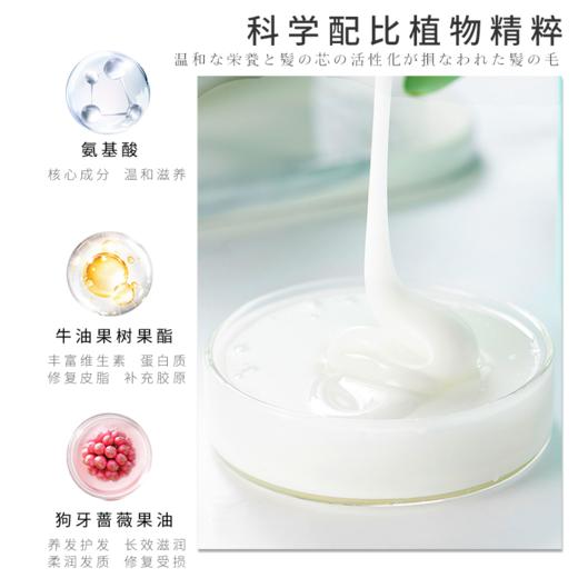 日本蜜梨品牌洗发水 氨基酸洗发水/精华乳/发膜系列 750ml/瓶 商品图14