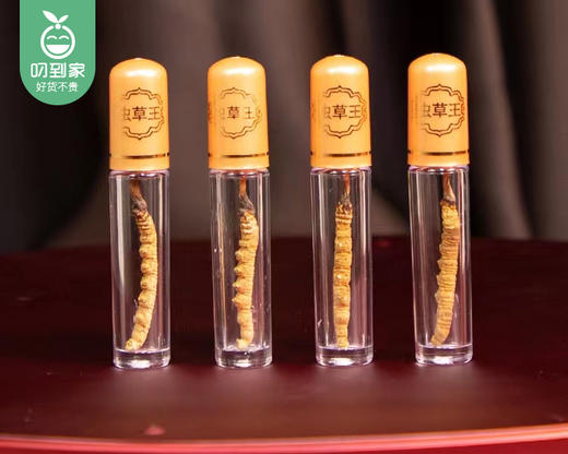 西藏那曲冬虫夏草礼盒（干货）/1盒（20只，共3.5g-3.8g）补单专用 商品图1