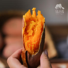 生态蜜薯（龙薯9号） | 合作生产* Ecological babe pumpkin | Coproduction