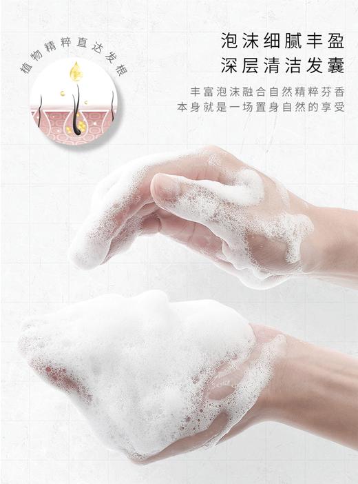 日本蜜梨品牌洗发水 氨基酸洗发水/精华乳/发膜系列 750ml/瓶 商品图9