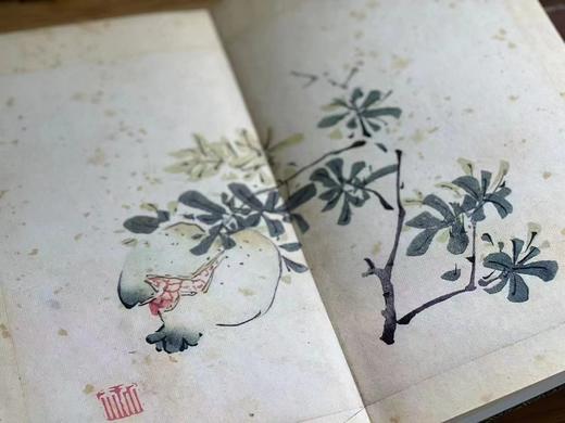 重磅推荐：《十竹斋书画谱》，明胡正言 辑印，2函16册，16开（29*16*34cm），经折装，西冷印社2018年8月一版一印，仅印250套。定价5800，售价1998元。
  商品图9