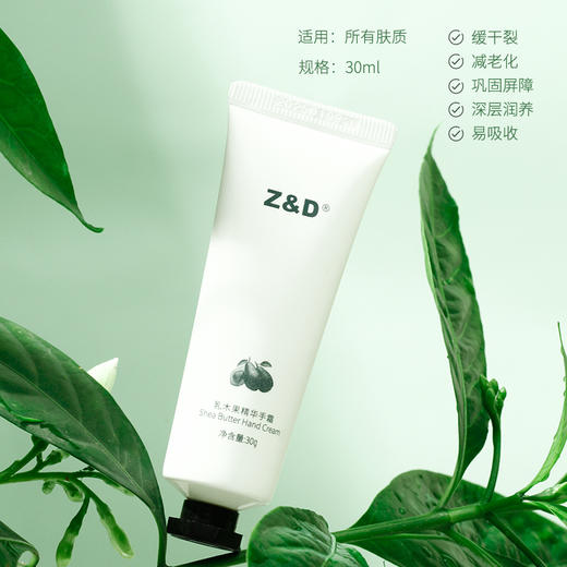 Z&D乳木果精华手霜 商品图3