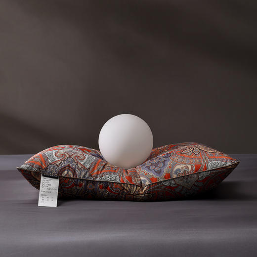 柔暖承托 可水洗舒眠大白鹅枕 马特尔湖 商品图1