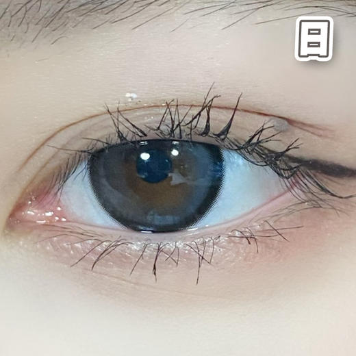 话梅兔 黑灰色 14.5mm【10片装】国产精品 / 日抛 商品图0