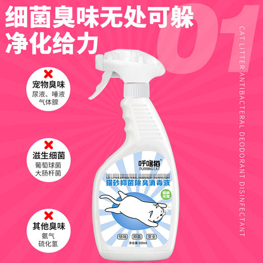 呼噜猫抑菌除臭消毒液喷雾500ml 28瓶1箱 臭味克星 安全无毒可舔 商品图5