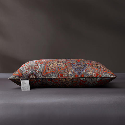 柔暖承托 可水洗舒眠大白鹅枕 马特尔湖 商品图4