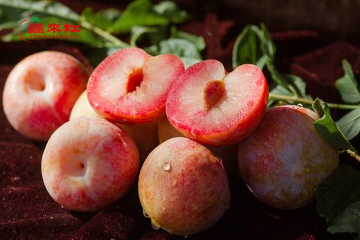 新疆杏李（恐龙蛋）3斤左右礼盒装 商品图3