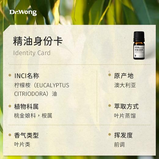 柠檬尤加利 单方精油 商品图2