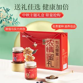 汪氏蜂蜜土蜂蜜浓情蜜礼礼盒椴树蜜500g+荆花蜜500g节日送礼高端