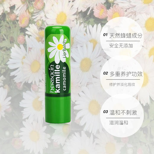 德国小甘菊润唇膏女保湿滋润补水无色洋甘菊干裂唇膜 商品图2