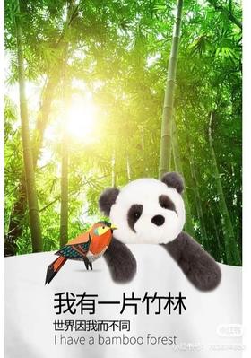 我有一片竹林，世界因我而不同