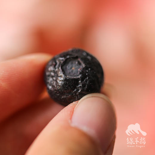 有机冻干蓝莓  | 绿家自产 *  Organic Freeze Dried  Blueberry | Self-production 商品图1