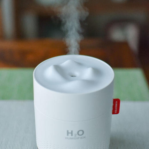 羽诗制造出品 有花在月·芳霏套装陶瓷花扩香器无线加湿器文创礼盒 商品图1