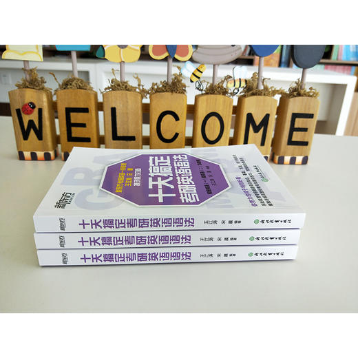 【新东方】十天搞定考研英语语法 王江涛 10天 考研一 二 辅导 精讲 真题 教辅 考点 工具书 新东方 道长英语 商品图3