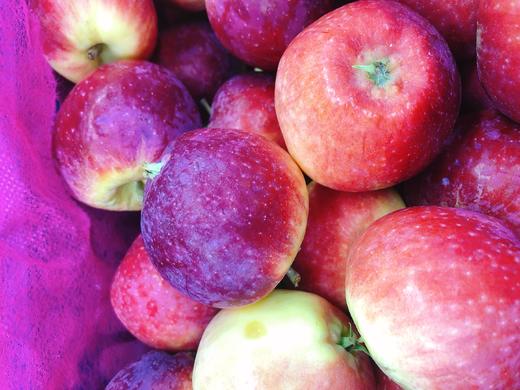 糖心秋果3斤（拼团） 商品图0