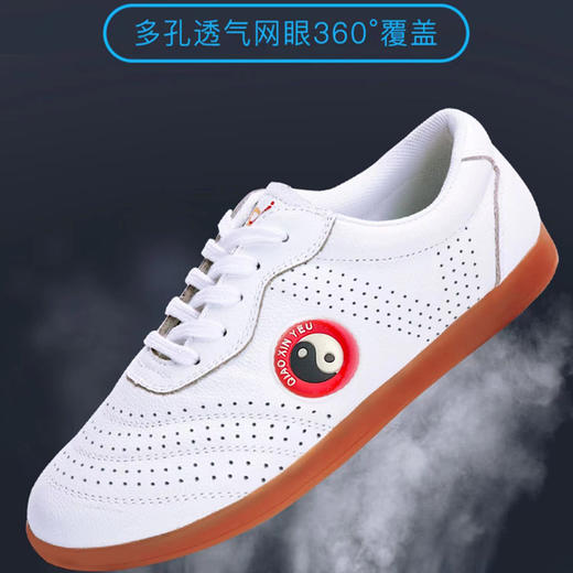 太极鞋 商品图0