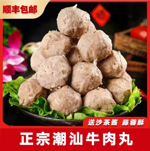 【外运冷链】麦兜龙潮汕牛肉丸牛筋丸 商品图3