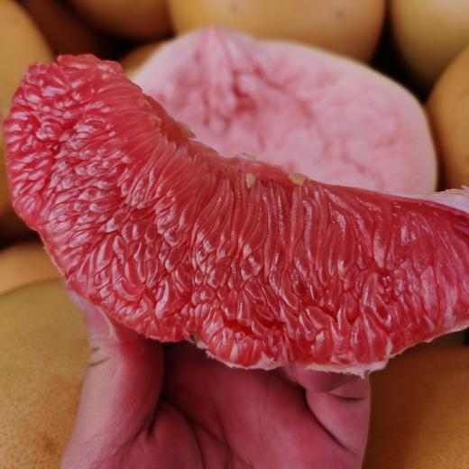 梅州老树三红柚   礼盒装 商品图7