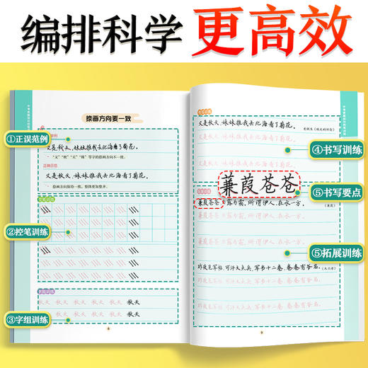 墨点字帖 中考卷面加分控笔训练 初中生专用楷书硬笔书法初学者入门基础训练七八九年级男女生练字姚旭荣正楷字帖 商品图3