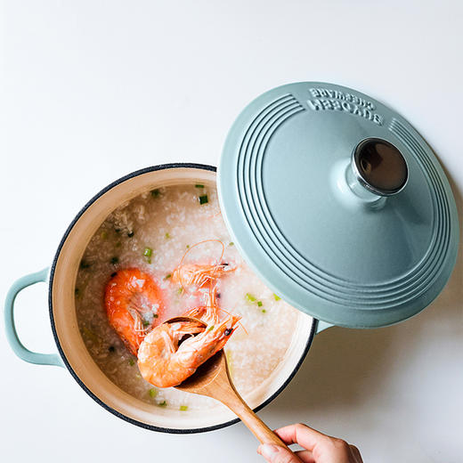 北鼎-珐琅铸铁锅焖炖锅平底锅炉具通用22cm 商品图1