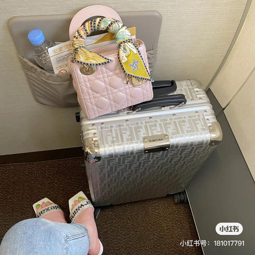 三格戴妃羊皮-珠光粉 商品图5