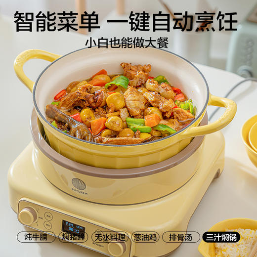 电磁炉家用灶智能珐琅锅预约多功能火锅炒菜全自动节能小型炉 商品图2