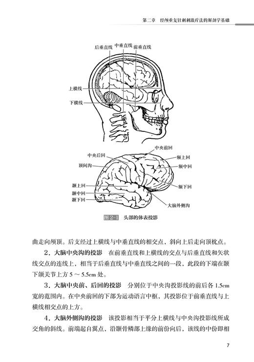 经颅重复针刺刺激疗法 孙申田 王军 主编 中医针灸学穴区定位治疗头皮针刺 头部腧穴经属与主治 人民卫生出版社9787117333931 商品图3