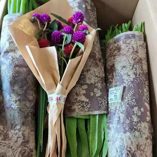 自然农法种植8种蔬菜组合箱 商品图0