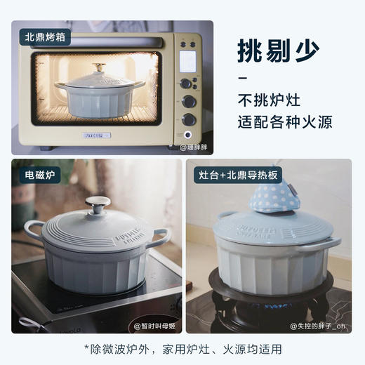 北鼎-珐琅铸铁锅焖炖锅平底锅炉具通用22cm 商品图4