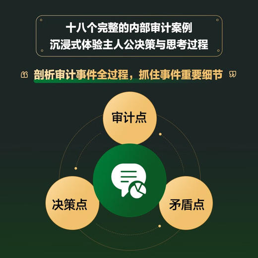 内部审计情景案例:理解审计行为,辨析审计决策 商品图3