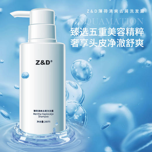 Z&D薄荷清爽去屑洗发露 商品图0