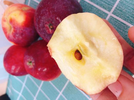 糖心秋果3斤（拼团） 商品图3