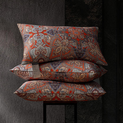 柔暖承托 可水洗舒眠大白鹅枕 马特尔湖 商品图0