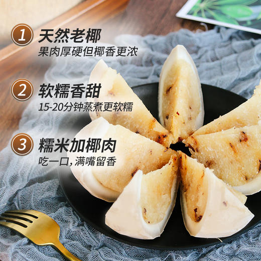 南国食品生椰原味椰子饭538g多种口味 商品图8