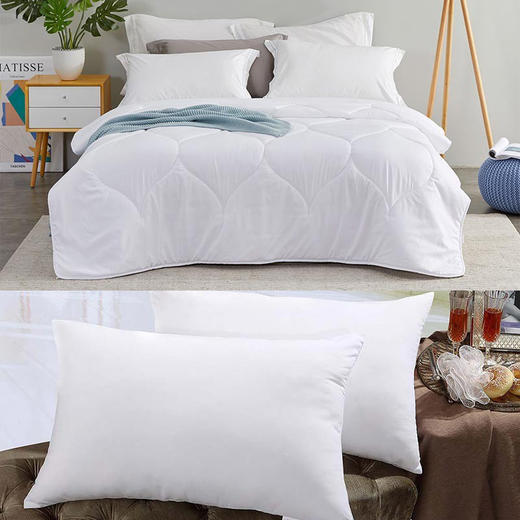 （分两个包裹发货）罗莱（LUOLAI） 恬梦暖绒纤维被 200*230cm+罗莱（LUOLAI） 莱韵对枕  47*73cm/只*2只【YGYL3.0】 商品图0