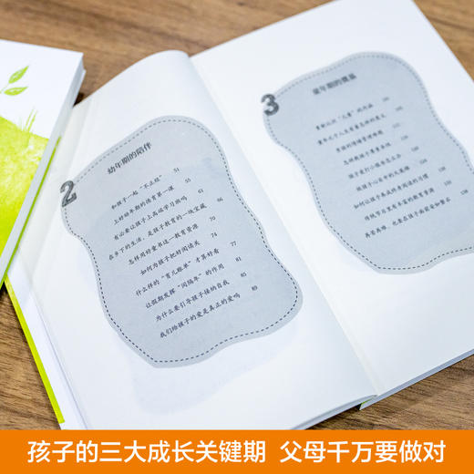 养育的觉醒+真正的陪伴   孩子成长全流程指南 商品图3