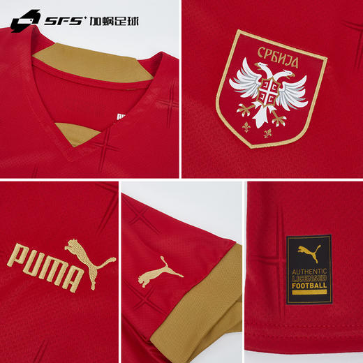 SFS彪马2022世界杯塞尔维亚主场球迷版球衣短袖足球服765760-01 商品图3