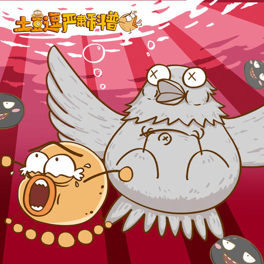 土豆逗严肃科普 | 100集超有趣儿童科学动画 商品图6