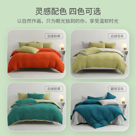 【趣播】JACE全面纯棉床笠床单四件套床上用品双面绒持久聚热