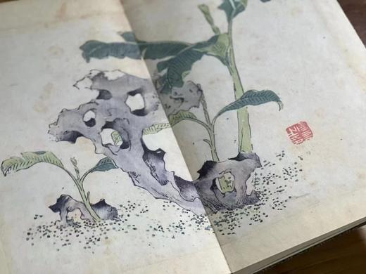 重磅推荐：《十竹斋书画谱》，明胡正言 辑印，2函16册，16开（29*16*34cm），经折装，西冷印社2018年8月一版一印，仅印250套。定价5800，售价1998元。
  商品图6