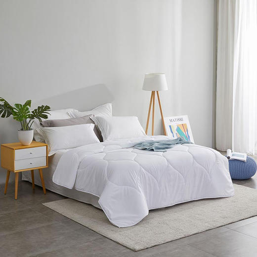 （分两个包裹发货）罗莱（LUOLAI） 恬梦暖绒纤维被 200*230cm+罗莱（LUOLAI） 莱韵对枕  47*73cm/只*2只【YGYL3.0】 商品图1