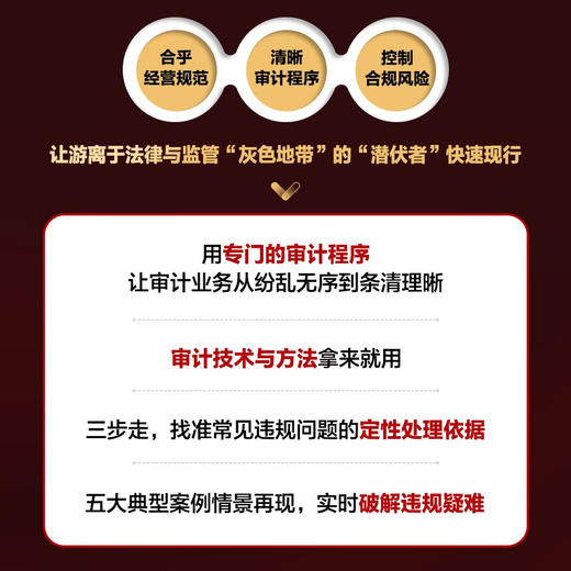合规型内部审计:精准发现违规行为,实时化解合规风险 商品图3
