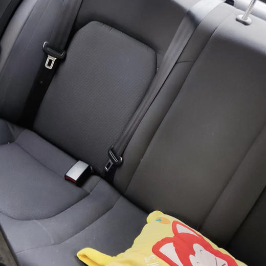 大众 桑塔纳 1.6L 自动风尚版 【长租-北京】 商品图4