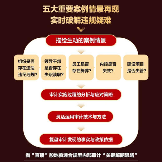 合规型内部审计:精准发现违规行为,实时化解合规风险 商品图4