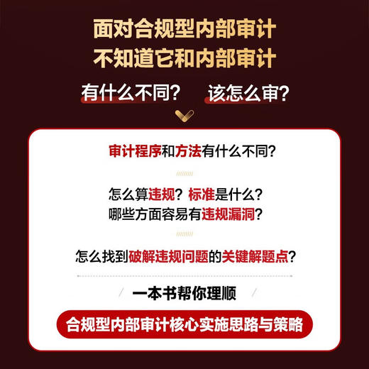 合规型内部审计:精准发现违规行为,实时化解合规风险 商品图2