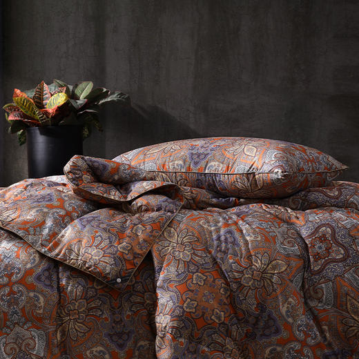 柔暖承托 可水洗舒眠大白鹅枕 马特尔湖 商品图2