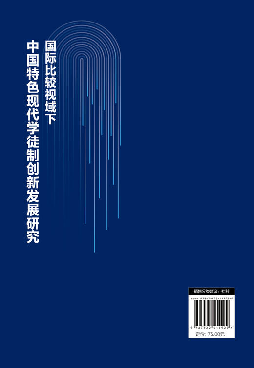 国际比较视域下中国特色现代学徒制创新发展研究 商品图1