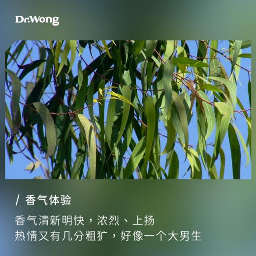 柠檬尤加利 单方精油 商品图1